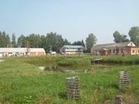 Деревообробатовающее производство - Изображение #4, Объявление #99202