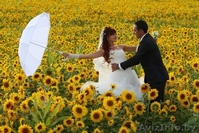 Профессиональные фото-видео услуги в студии "Графъ фото" - Изображение #5, Объявление #850948