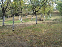 Дома. Аренда,Долгосрочная. - Изображение #6, Объявление #1396480