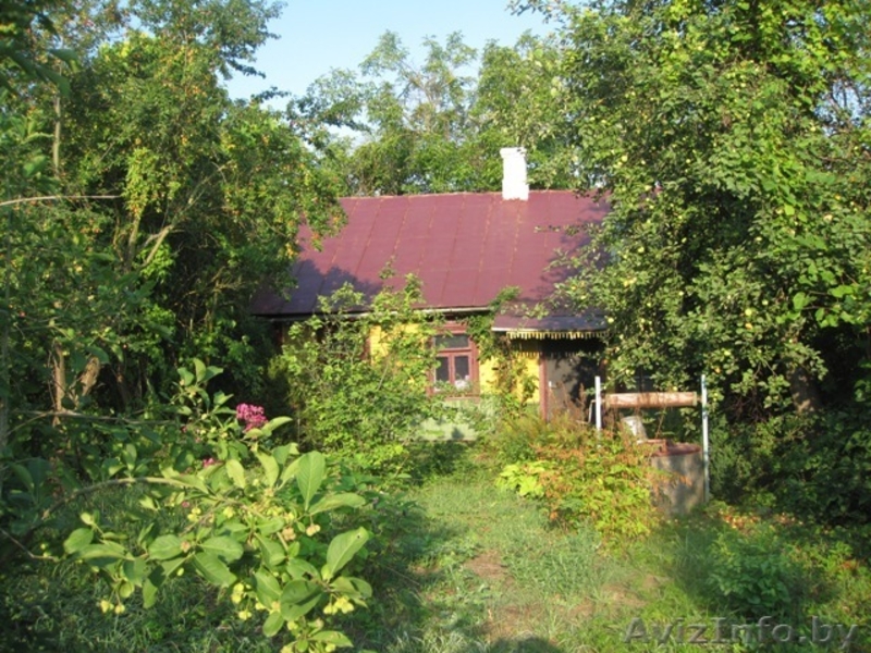 продам дом в г. Слониме - Изображение #1, Объявление #101310