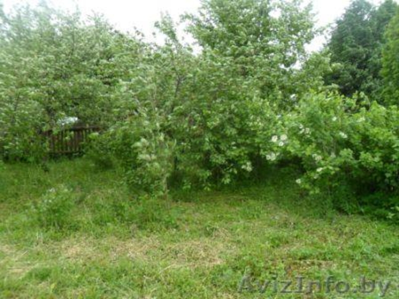 Продам дом.Отличное месторасположения,рядом лес,озеро. - Изображение #8, Объявление #915377