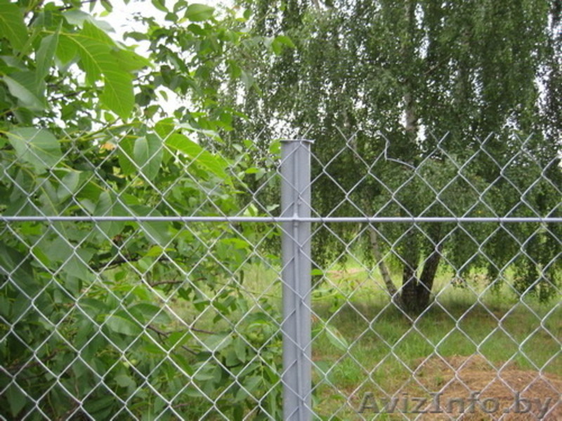 Столбы металлические и сетка рабица. Бесплатная доставка по всей РБ! - Изображение #7, Объявление #1549080